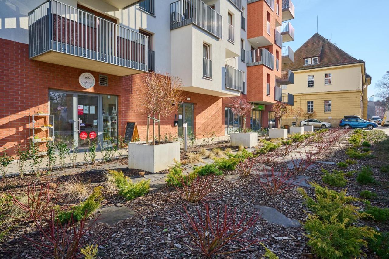 Dmowskiego Kępa Mieszczańska By Renters * Wrocław